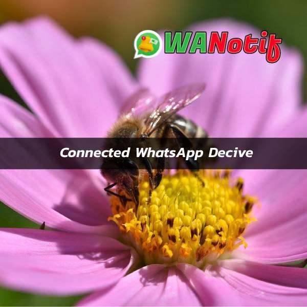 How To Connect WhatsApp Device