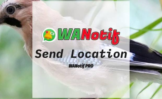 Send Location
