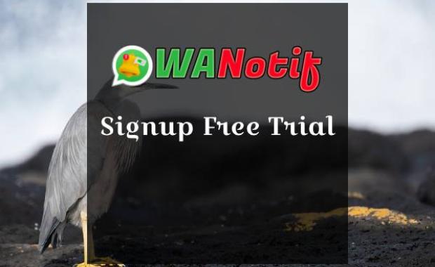 Signup Free Trial