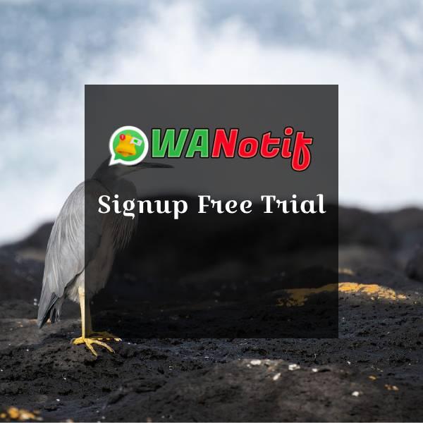 Signup Free Trial
